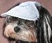 Dog Sun Visor in Lt Blue for Dogs 10 Lbs and under