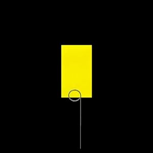 Yellow Sticky Traps – 3 cards + wire stand