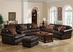Benson 2 Piece Sofa Set in 100% Brown Leather by Coaster - 502031S