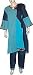 Punjabi Salwar Kameez Cotton Fabric Embroidery Size 1X (slk340d)