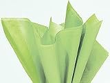 Brand New Pistachio Green Bulk Tissue Paper 15" x 20" - 100 Sheets
