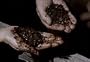 Classic Fertilizer & Chemical Industry Films