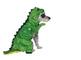 Halloween Dinosaur Costume Small