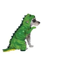 Halloween Dinosaur Costume Medium