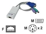 Minicom - Keyboard / video / mouse (KVM) cable - RJ-45 (F) - 6 pin PS/2, HD-15 (M)