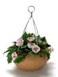 Dollhouse Miniature Artisan Hanging pot of Pink Pansies