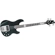 Ibanez PGB1 Paul Gray Signature Bass Trans Black