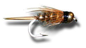 BH Prince Nymph Fly Fishing Fly