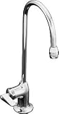 KOHLER K-7898-C-CP Bardney Faucet, Polished Chrome