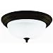 Westinghouse Lighting 64290 Ceiling Fixture