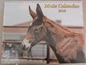 2010 Mule Calendar - Mischka