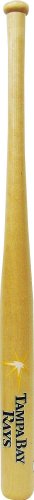 Coopersburg Sports MLB Tampa Bay Rays 18-Inch Transfer Bat