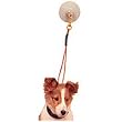 Dog Grooming Stay-N-Wash Tub Restraint Keeps Dog in Tub