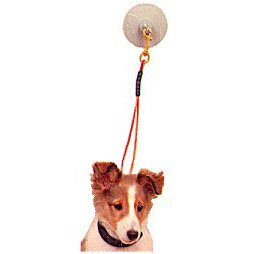 Dog Grooming Stay-N-Wash Tub Restraint Keeps Dog in Tub