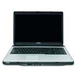 Toshiba Satellite L355-S7831 17-Inch Laptop (2.0 GHz Intel Pentium Dual Core T3200 Processor, 3 GB RAM, 250 GB Hard Drive, DVD Drive, Vista Premium)