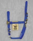 Hamilton Deluxe 3/4 Arabian Nylon Horse Halter with Adjustable Chin and Snap, Blue, Small/Cob (500-800 lbs)