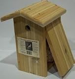 Songbird Essentials Downey Woodpecker House