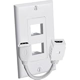 Dual Female In HDmi Wall Plate