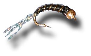 BH Zebra Midge - Black Fly Fishing Fly