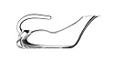 Riedel Duck Decanter