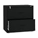 2 Drawer 30