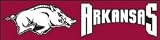 Arkansas College Banner
