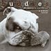 Buddies 2009 Calendar by John Drysdale, 12x12