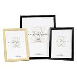 MCS Fashion Wood Bullnose Frame for a 8 x 10 Photograph, Black