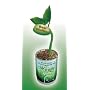 The Patent Magic Bean - I Love You