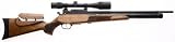 Evanix Hunting Master AR6 / AR4 air rifle