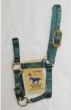 Deluxe Adjustable Halter For Foals - Hunter Grn - Mini