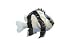 Clearly Charming Three Stripe Damselfish Silver and Enamel Pin