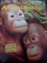 Animal Feelings (The Secret Life of Animals)