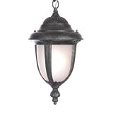 Acclaim Lighting Monterey Outdoor Pendant
