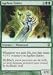 Magic Darksteel Singles: Ageless Entity (Green Rare)
