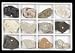 SciEd Premium Sedimentary Rock Collection; 12pk
