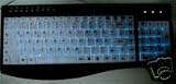 Foxfire Electro-Luminescent PS2 Gaming Keyboard - Black