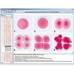 Illustrated Resource Library - The Wonder of the Animal Cell CD ROM