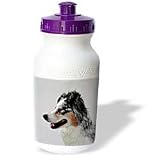 Dogs Australian Shephard - Australian Shephard - Water Bottles