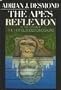 The Ape's Reflexion