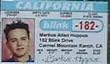 Blink 182 Mark Fake Drivers License