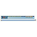 Coralife 58580 Actinic 03 T-5 Fluorescent Lamp, 24-Inch