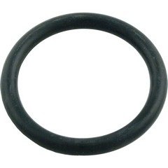 Sta-Rite Natural Gas Heater - Water System Replacement Thermal Regulator Cap O-Ring
