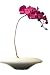 �s���ԁE�ԕr�tF-style vase Moth orchid�i���X�E�I�[�L�b�h(�Ӓ���)�j