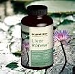 Liver Renew - 60 - Capsule Liver Renew - 60 - Capsule