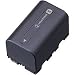 Sony NPFS22 S Series InfoLithium Battery for DCRPC1/5