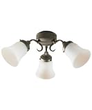21nZh4KjfrL. SL160 Hunter Fans 23977 3 Light Arm Light Kit Provencal Gold Reviews