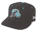 New Haven Ravens Home Cap by New Era