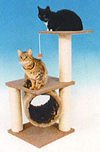 Matterhorn Cat Play Centre