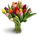 Fresh Tulip Bouquet